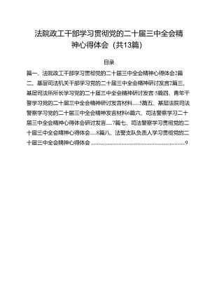 （13篇）法院政工干部学习贯彻党的二十届三中全会精神心得体会集合.docx