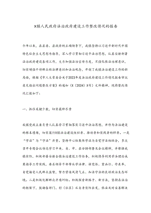 X镇人民政府法治政府建设工作整改情况的报告.docx