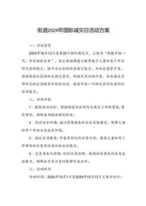 社区街道2024年国际减灾日活动方案.docx