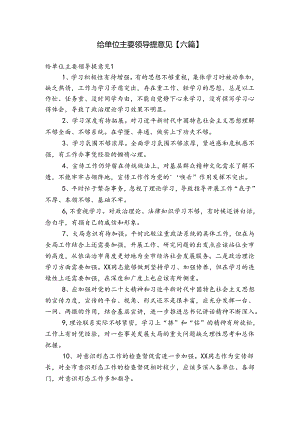 给单位主要领导提意见【六篇】.docx