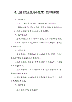 幼儿园《安全使用小剪刀》公开课教案.docx