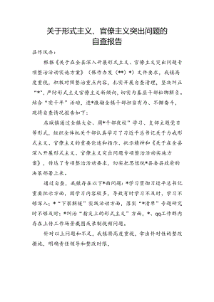 形式主义、官僚主义问题自查报告（乡镇）.docx