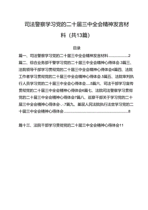 （13篇）司法警察学习党的二十届三中全会精神发言材料专题资料.docx