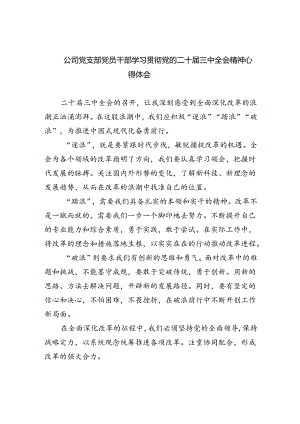 公司党支部党员干部学习贯彻党的二十届三中全会精神心得体会（共五篇）.docx