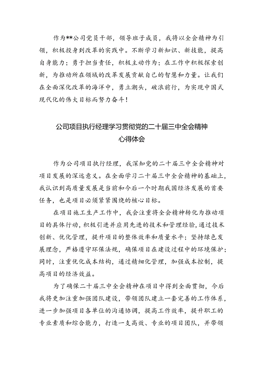 公司党支部党员干部学习贯彻党的二十届三中全会精神心得体会（共五篇）.docx_第2页