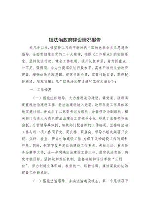 镇法治政府建设情况报告.docx