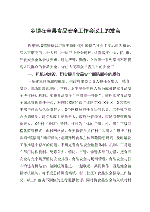 乡镇在全县食品安全工作会议上的发言.docx