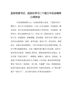 监狱党委书记、监狱长学习二十届三中全会精神心得体会.docx