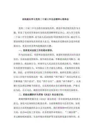 （11篇）法院庭长学习党的二十届三中全会精神心得体会（精选）.docx