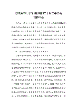 政法委书记学习贯彻党的二十届三中全会精神体会.docx