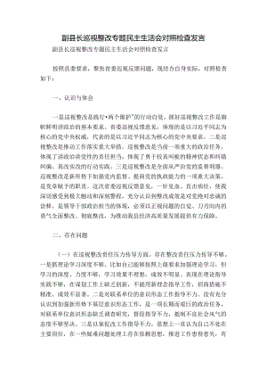 副县长巡视整改专题民主生活会对照检查发言.docx