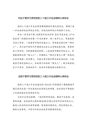 司法干警学习贯彻党的二十届三中全会精神心得体会8篇（最新版）.docx