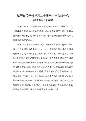 基层宣传干部学习二十届三中全会精神心得体会研讨发言.docx