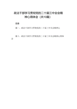（10篇）政法干部学习贯彻党的二十届三中全会精神心得体会（最新版）.docx