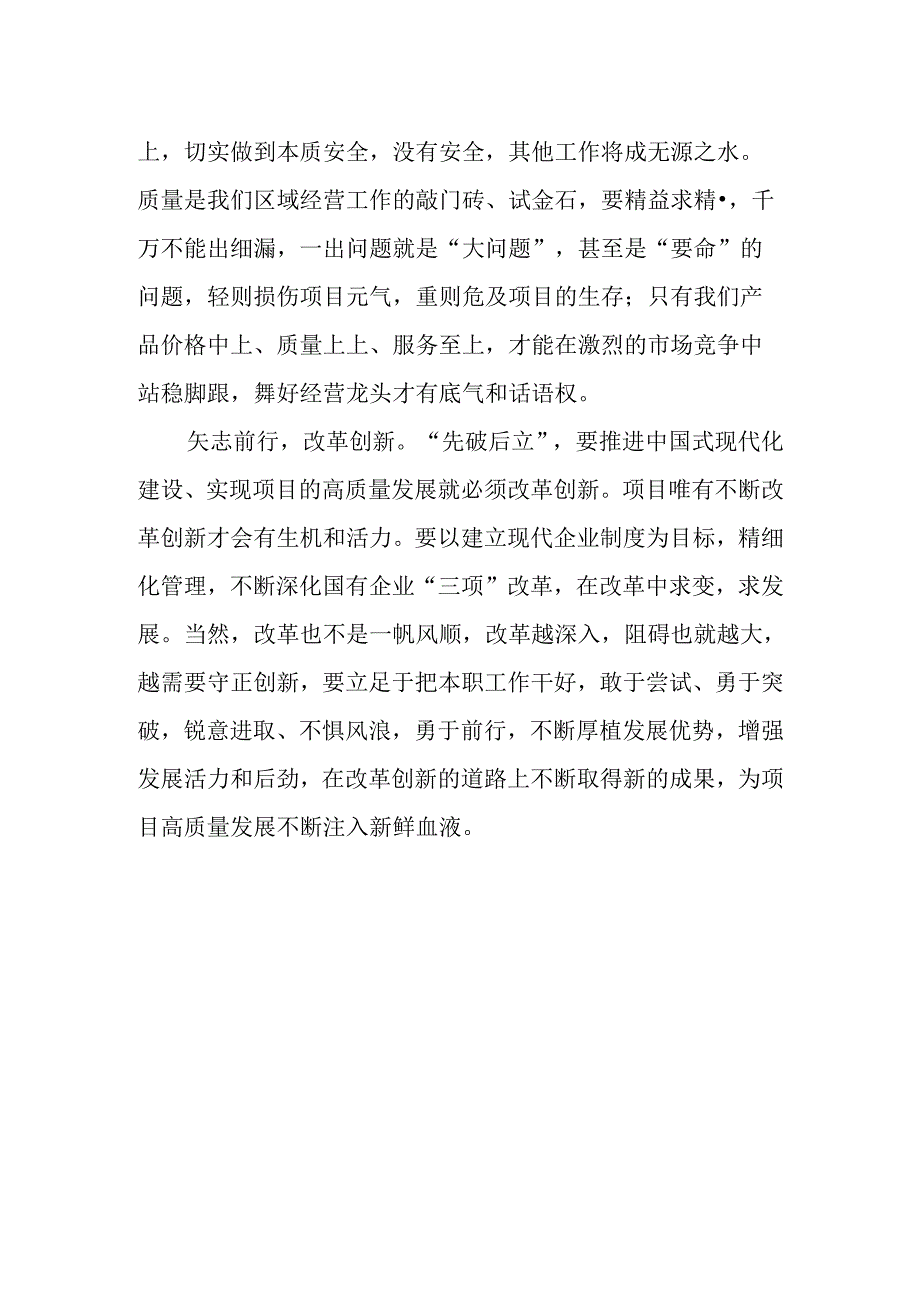 基层项目书记学习二十届三中全会精神心得体会研讨发言.docx_第2页