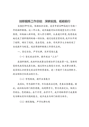 挂职锻炼工作总结：深耕实践砥砺前行.docx