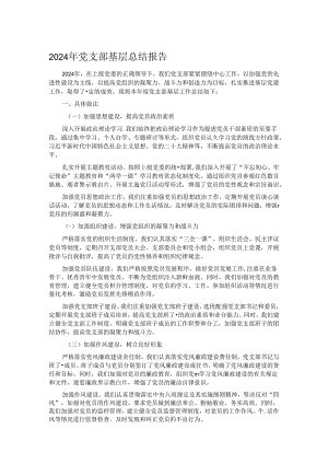 2024 年党支部基层总结报告.docx