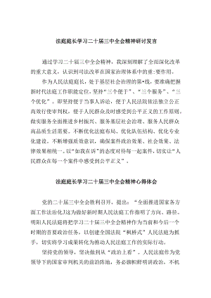 （11篇）法庭庭长学习二十届三中全会精神研讨发言范文.docx