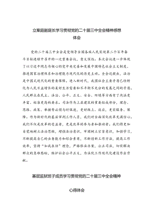 立案庭副庭长学习贯彻党的二十届三中全会精神感想体会8篇（精选版）.docx