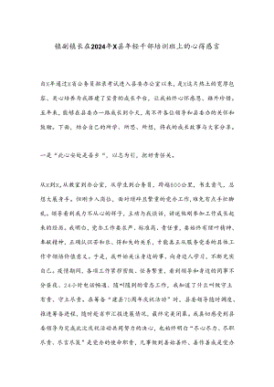 镇副镇长在2024年X县年轻干部培训班上的心得感言.docx