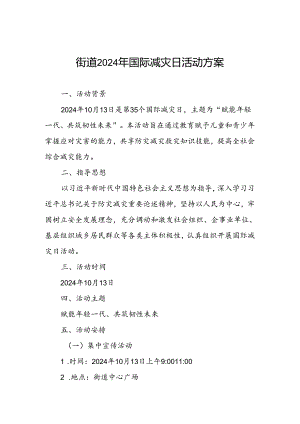 街道组织开展2024年国际减灾日活动方案.docx