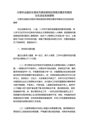 分管农业副区长落实市委巡察组反馈意见整改专题民主生活会发言提纲.docx