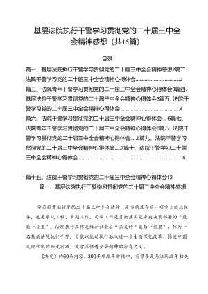 （15篇）基层法院执行干警学习贯彻党的二十届三中全会精神感想（精选）.docx