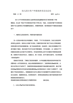 幼儿园小班户外游戏及体育活动总结.docx