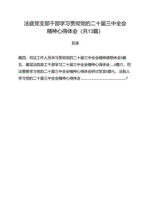 （13篇）法庭党支部干部学习贯彻党的二十届三中全会精神心得体会（详细版）.docx