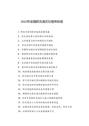 2023年全国防灾减灾日宣传标语.docx