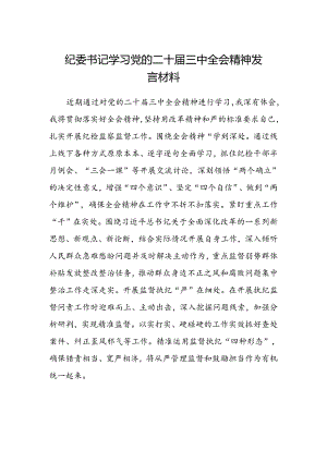 纪委书记学习党的二十届三中全会精神发言材料.docx