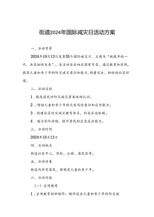 街道2024年国际减灾日活动方案.docx