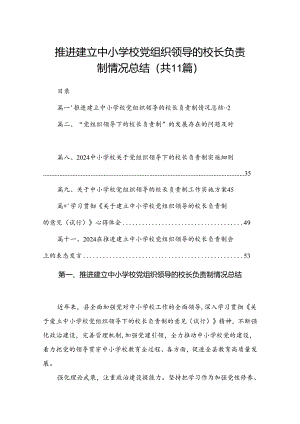 （11篇）推进建立中小学校党组织领导的校长负责制情况总结精选.docx
