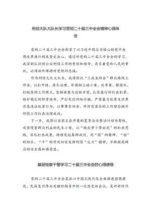 刑侦大队大队长学习贯彻二十届三中全会精神心得体会四篇（详细版）.docx