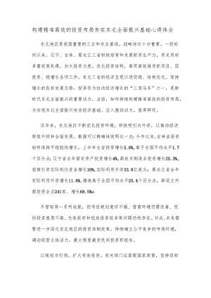 构建精准高效的投资布局夯实东北全面振兴基础心得体会.docx