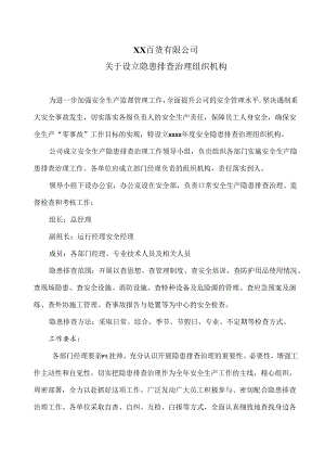 XX百货有限公司关于设立隐患排查治理组织机构（2024年）.docx