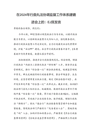 在2024年行政执法协调监督工作体系建设推进会上的汇报发言范文.docx