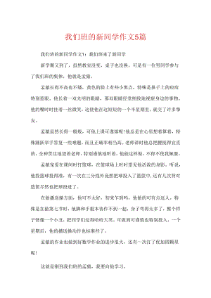 我们班的新同学作文5篇.docx