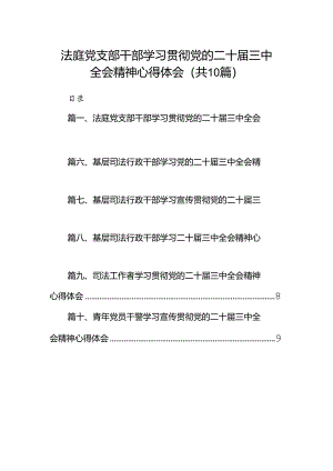 （10篇）法庭党支部干部学习贯彻党的二十届三中全会精神心得体会（详细版）.docx