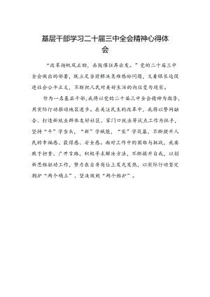 基层干部学习二十届三中全会精神心得体会.docx