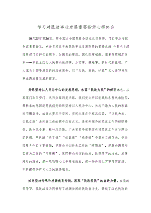 学习对民政事业发展重要指示心得体会.docx
