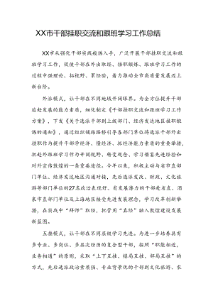 XX市干部挂职交流和跟班学习工作总结.docx