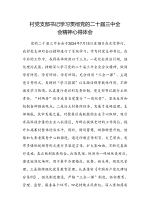 村党支部书记学习贯彻党的二十届三中全会精神心得体会.docx
