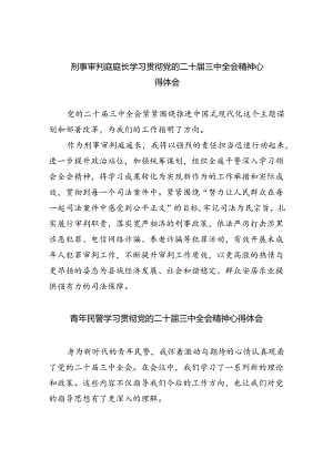 刑事审判庭庭长学习贯彻党的二十届三中全会精神心得体会8篇（最新版）.docx