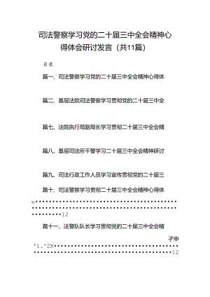 （11篇）司法警察学习党的二十届三中全会精神心得体会研讨发言（详细版）.docx