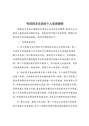 专题民主生活会个人发言提纲.docx