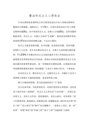 整治形式主义心得体会.docx