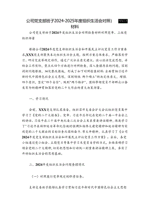 公司党支部班子2024-2025年度组织生活会对照检查材料.docx