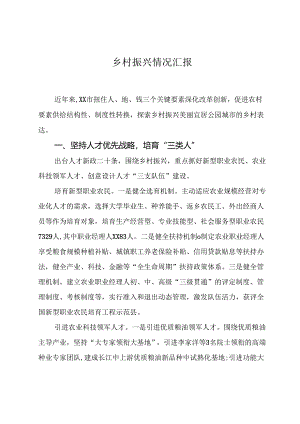乡村振兴情况汇报.docx