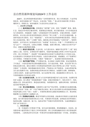 县自然资源和规划局2024年工作总结.docx